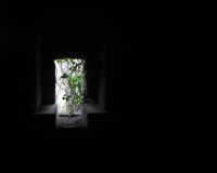 /album/wallpapers-black/a14-jpg/