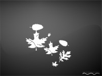 /album/wallpapers-black/a21-jpg/