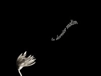 /album/wallpapers-black/a31-jpg/