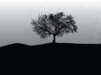 /album/wallpapers-black/a57-jpg/